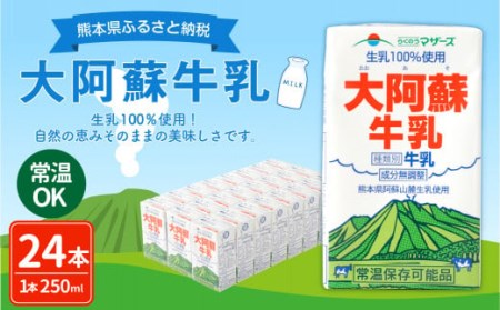 大阿蘇牛乳 250ml×24本 1ケース 紙パック 常温保存可能