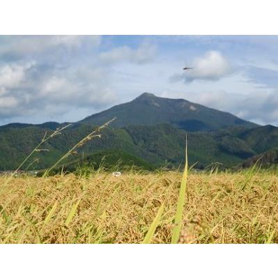 ふるさと納税 B-016 特別栽培米阿東産コシヒカリ玄米60kg 山口県山口市