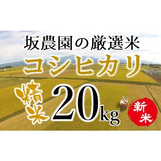 ふるさと納税 山形県 三川町 坂農園の厳選米！コシヒカリ20kg