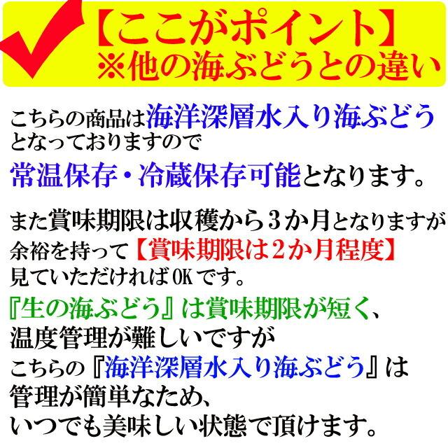 海ぶどう 沖縄産 100g 天皇杯受賞(クビレヅタ：海水入り海ブドウ) うみぶどう 専用タレ付  送料無料