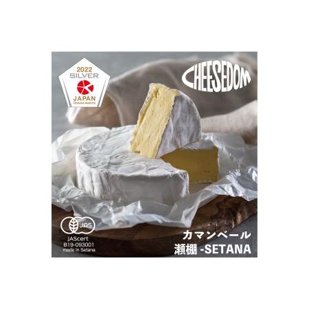 ふるさと納税 チーズダムの瀬棚-SETANA(カマンベールタイプ)　250g×2個 北海道せたな町