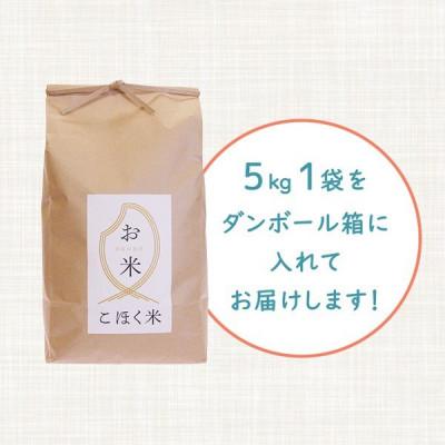 ふるさと納税 長浜市 令和5年産 滋賀県湖北産 湖北のミルキークイーン 玄米　5kg