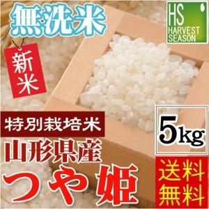 無洗米 山形県産 つや姫 5kg 令和5年産 特別栽培米 