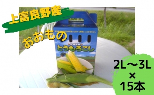 地元上富良野産 とうもろこし おおもの 15本セット