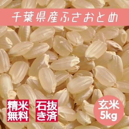 新米 米 お米 玄米 5kg ふさおとめ 令和5年産 本州四国 送料無料 紙袋 綺麗仕上 異物除去 石抜き済