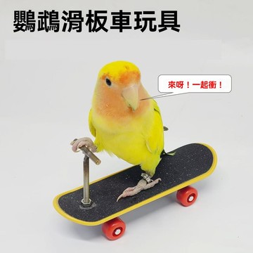【台灣出貨】小寵玩具 鸚鵡智力玩具 訓練道具 鸚鵡 牡丹 滑板車 小鳥手指滑板 寵物玩具 鸚鵡滑板車