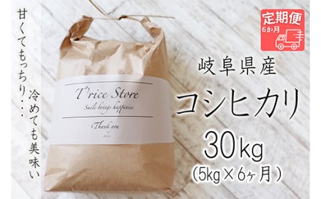 T rice Store 岐阜県産コシヒカリ 30kg(5kg×6回）