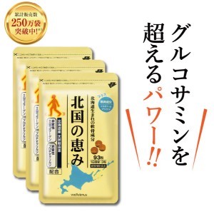 北国の恵み 180日分 30日分*6 6個セット ウェルヴィーナス　サプリメント