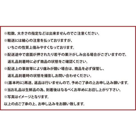 ふるさと納税 大粒あまおう 約280g×4パック 福岡県遠賀町