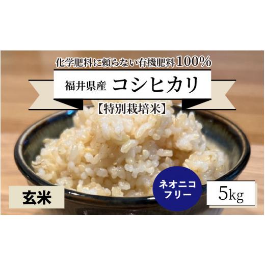 ふるさと納税 福井県 坂井市 福井県産 コシヒカリ 5kg 〜化学肥料にたよらない 有機肥料100%〜 ネオニコフリー（玄米） [A-13…