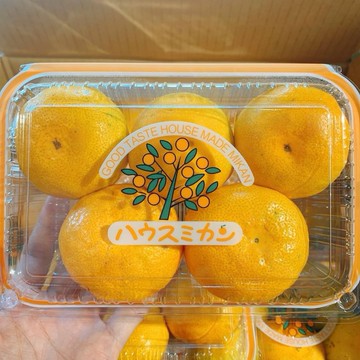 【帕查嬤嬤】🇯🇵日本 博多 山川北原 蜜柑 5玉 1+1盒🍊｜日本進口蜜柑