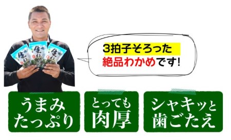 鳴門市里浦産塩蔵わかめ 120ｇ×10袋