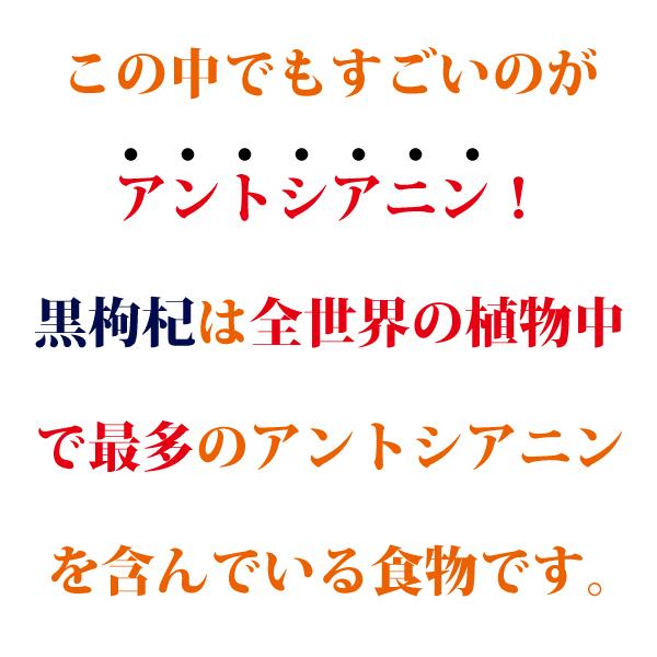 スーパーフード ドライフルーツ 薬膳 黒枸杞 150g×2袋 黒クコ チベット野生黒枸杞 アントシアニン 長寿薬膳堂