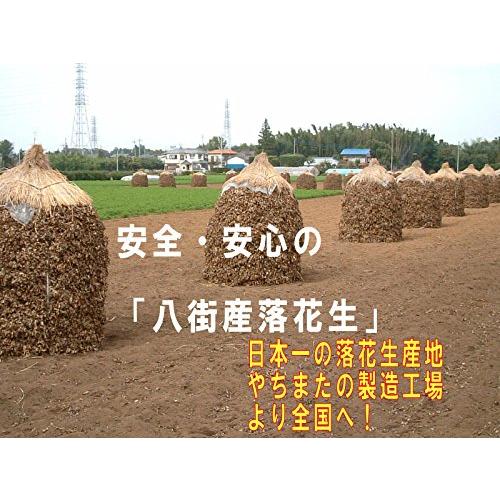 味付(ナカテユタカ)450g 千葉県産八街落花生（薄塩あり）