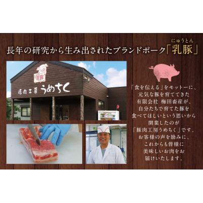 ふるさと納税 福智町 乳豚 餃子50個コロッケ10個セット