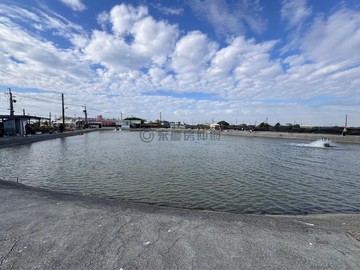 彌陀優質養殖地★漁港路★近南寮漁港｜高雄市彌陀區山頂段