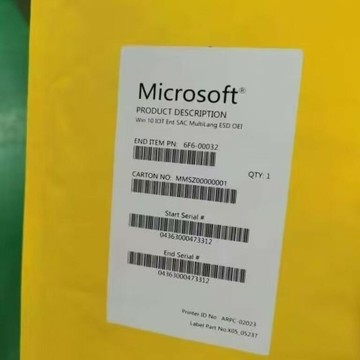 正版Windows10專業版嵌入式系統企業級伺服器配件首選