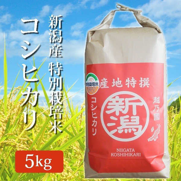 令和5年産 2023年度産 玄米 米 新米 特別栽培米 新潟県産コシヒカリ こしひかり 5Kg (5キロ) 新潟産 コシヒカリ 代引不可 同梱不可