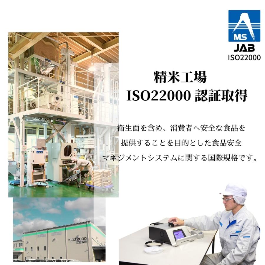 新米 令和５年産 米 送料無料 新潟県産 虹の煌めき 大粒 10kg （5kg×2） 精米 お米 にじのきらめき 新品種 おいしいお米 白米 大粒米