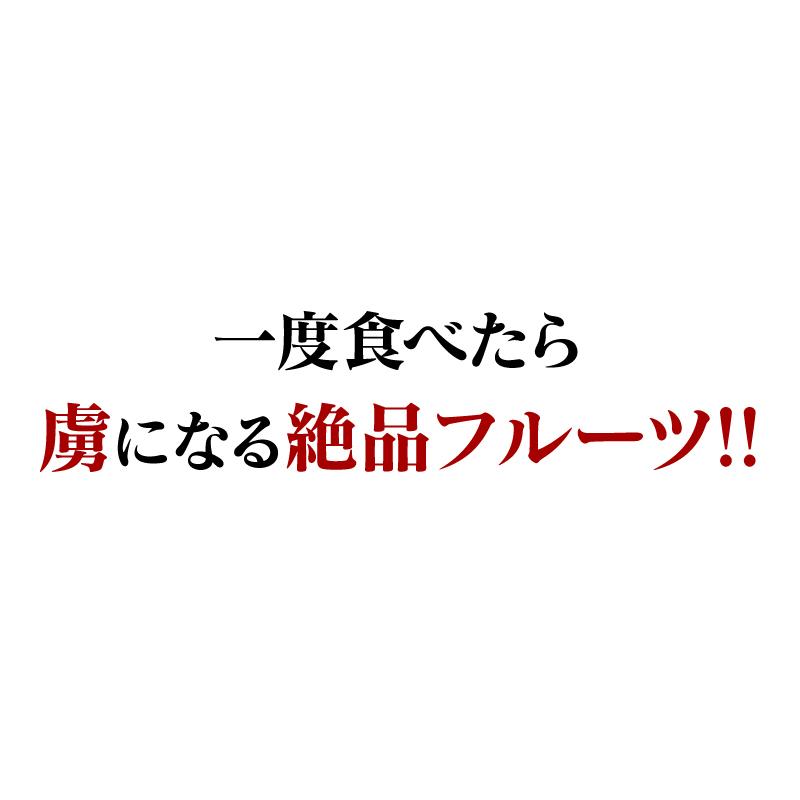 みかん はるか 5kg 送料無料 柑橘 農家直送 産地直送 日向夏 ＜2024年1月中旬より順次出荷＞ フルーツ 果物