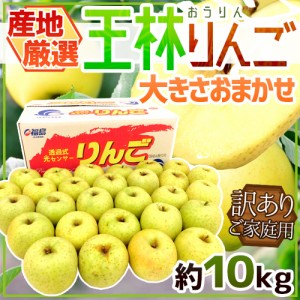 ”王林りんご” 訳あり 約10kg 大きさおまかせ 産地厳選 送料無料