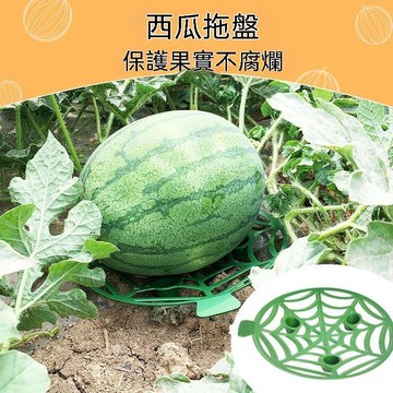 【可打統編】西瓜墊 瓜果種植托盤 園林農用瓜果防腐爛塑料穩固托盤 果實支撐架子 THTT