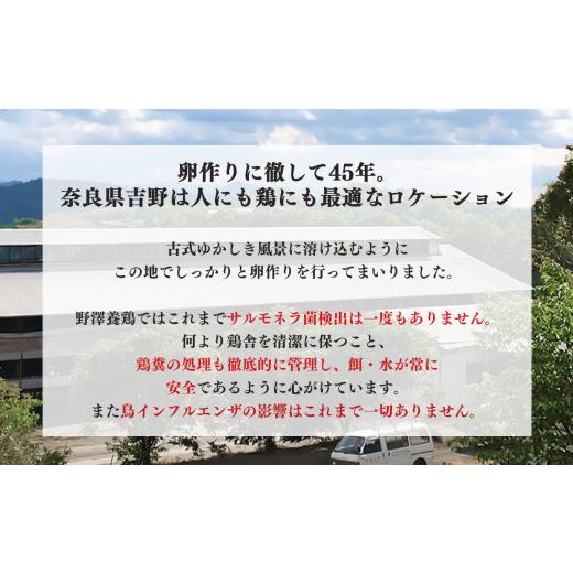 ふるさと納税 奈良県 吉野町 吉野こだわり卵　のざわ卵 32個入り (4コ入×4）×2箱