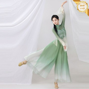 【藝考必備】古典舞練功服 舞蹈服 演出服 練功服 藝考服 身韻紗衣 彈力透氣 扇子舞傘舞通用 中國風套裝 成人兒童款