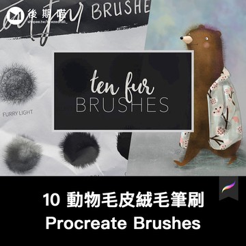 Procreate筆刷 | 動物毛皮羽毛絨毛紋理繪畫procreate筆刷素材