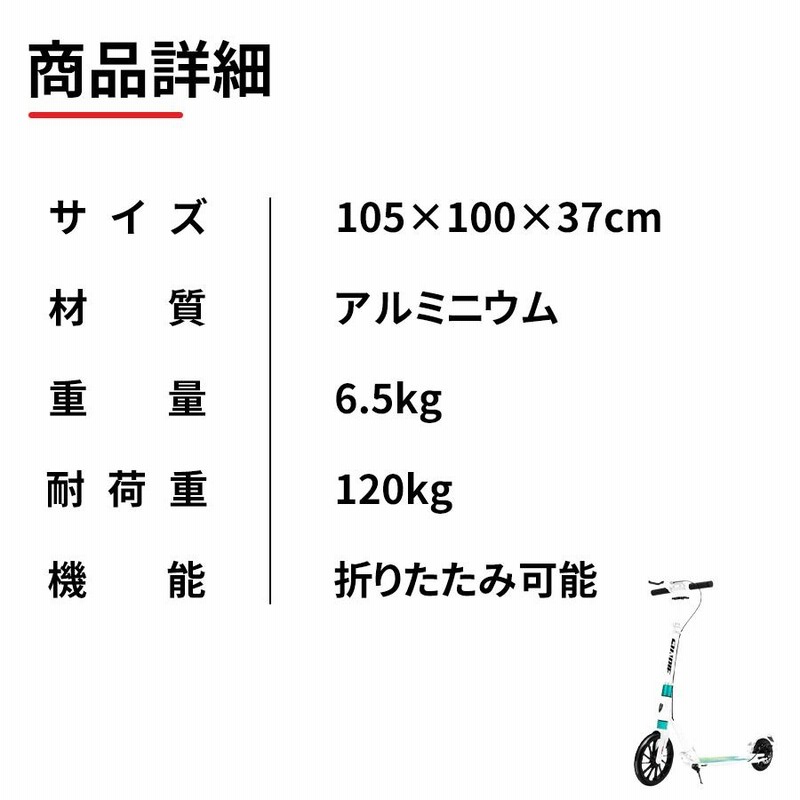 スキー一式　収納バッグ付き　10歳まで スキーケース オールインワンDX Websports オリジナル