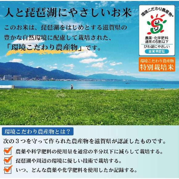 新米 無洗米 5kg みずかがみ 滋賀県産 令和5年産 特別栽培米 送料無料