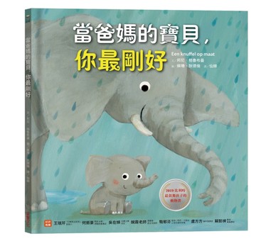 當爸媽的寶貝，你最剛好[二手書_良好]