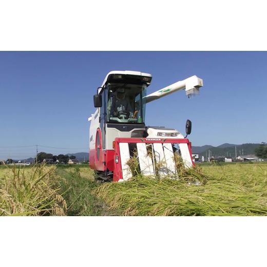 ふるさと納税 滋賀県 甲良町 甲良米 キヌヒカリ 無洗米 5kg 10ヶ月連続お届け