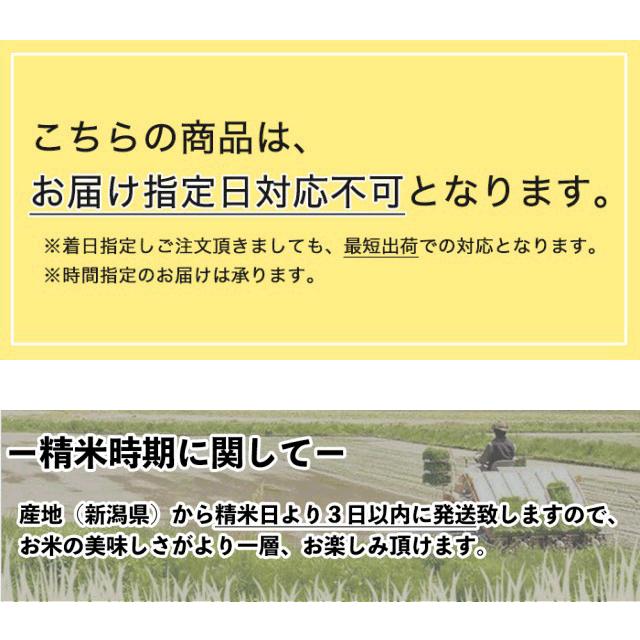 令和5年度産 新米 魚沼産 こしひかり 4kg 送料無料 新潟県 お米 4キロ