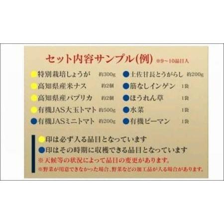 ふるさと納税 季節の野菜詰め合わせセット 高知県高知市