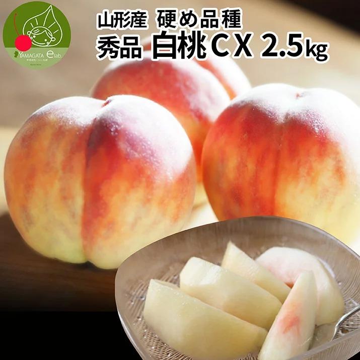 硬い桃 白桃 秀品 白桃CX 2.5kg 山形県産 送料無料 固い桃 かたい桃 かため 硬め 期間限定 産地直送 山形  シーエックス