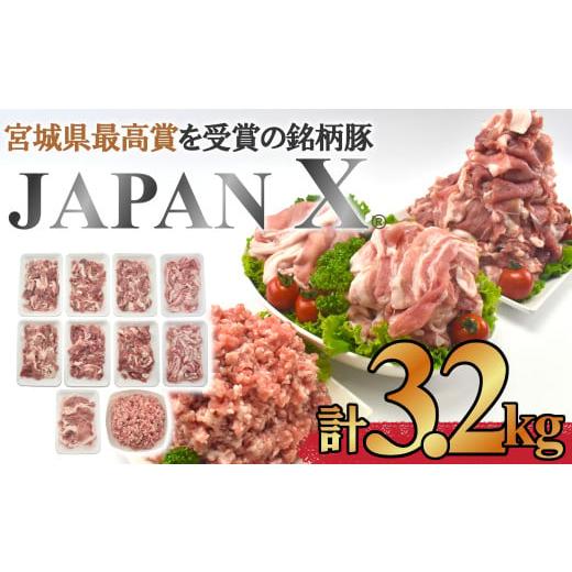 ふるさと納税 宮城県 蔵王町 ＜蔵王町産＞JAPAN X　豚肉バラエティセット　3.2kg　