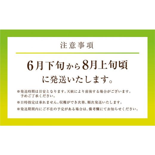 ふるさと納税 愛知県 田原市 先行予約 数量限定 野菜ソムリエ 推薦 渥美半島伊良湖潮風育ち マスクメロン 2玉 2L〜3L サイズ(3〜4キロ)カラーギフト箱入り　20…