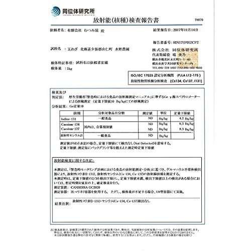 むつみ屋 旬の無農薬野菜セット 13品