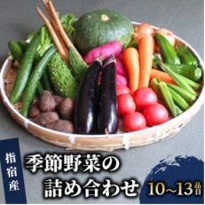 指宿産季節野菜の詰め合わせ10～13品目 A-166