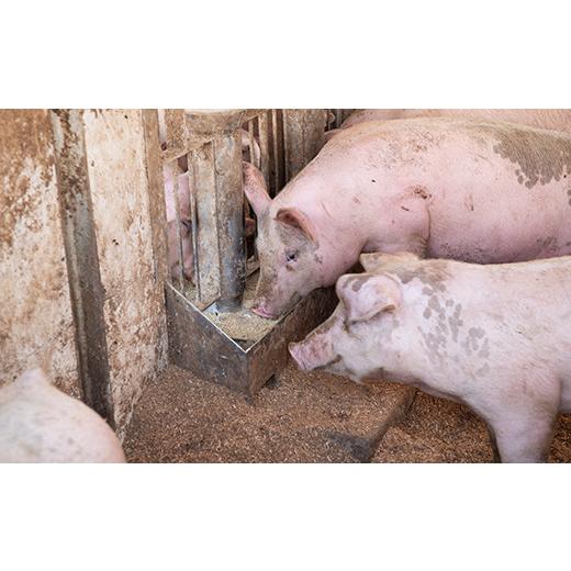 ふるさと納税 山形県 山辺町 山形県産 豚肉 山形豚 しゃぶしゃぶ用（バラ）600g 三元豚 F21A-211