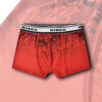 KINGO男款｜快乾涼感合身內褲 541922
