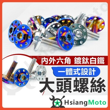 車牌螺絲 M6 大頭 造型燒鈦螺絲 不鏽鋼 燒鈦 螺絲 鍍鈦螺絲 鍍鈦螺絲 造型燒鈦螺絲 螺絲 燒色 GOGORO