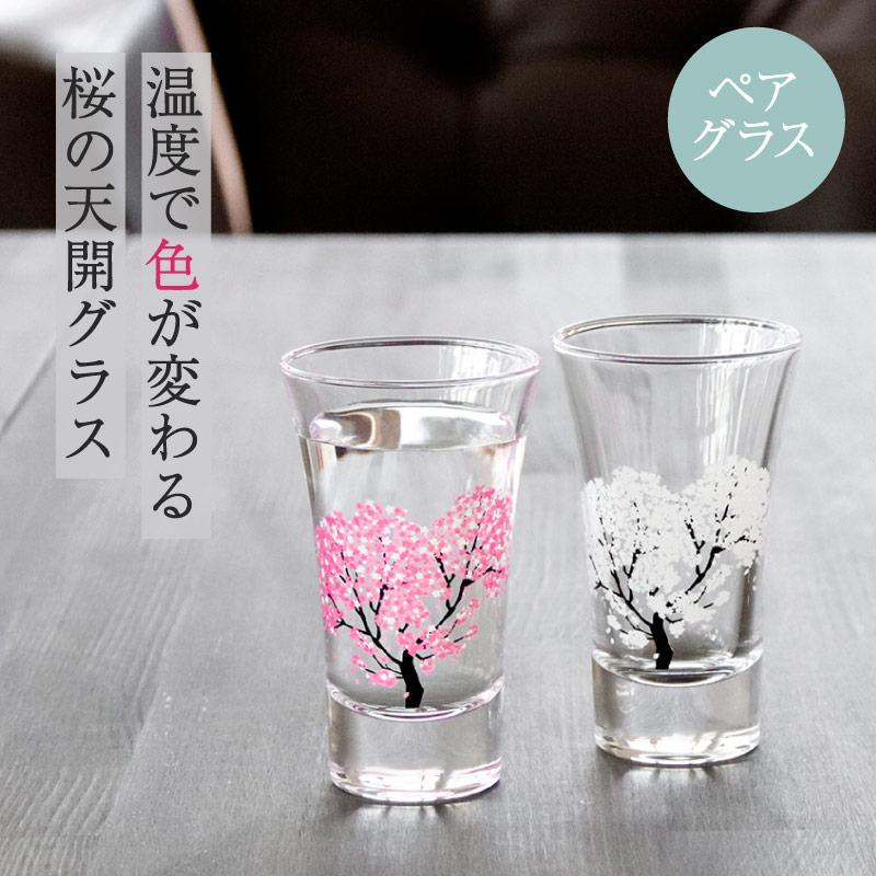 冷感桜 グラス天開ペアセット 酒器 グラス 冷酒グラス 冷酒