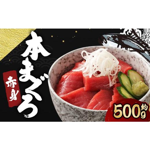 ふるさと納税 長崎県 時津町 長崎県産 本マグロ「赤身」約500g