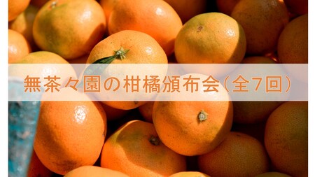 無茶々園の柑橘頒布会（全７回）