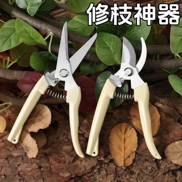 臺灣出貨✈️【可開發票】特快德國SK5園藝剪不鏽鋼省力強力粗枝剪樹枝專用剪子園林修枝剪