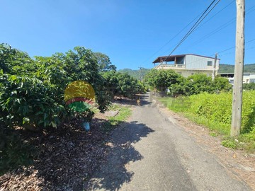 高雄內門近高117道旁大面寬臨6.7分農地5900｜高雄市內門區永富段