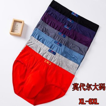 2-4條 高腰莫代爾棉三角內褲男士加肥加大肥佬褲爸爸短褲衩底褲頭