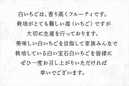 『予約受付』白い宝石 白いちご 450g 贈答用 いちご 苺